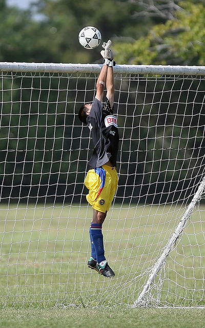 帶來怎樣的 帶來怎樣的