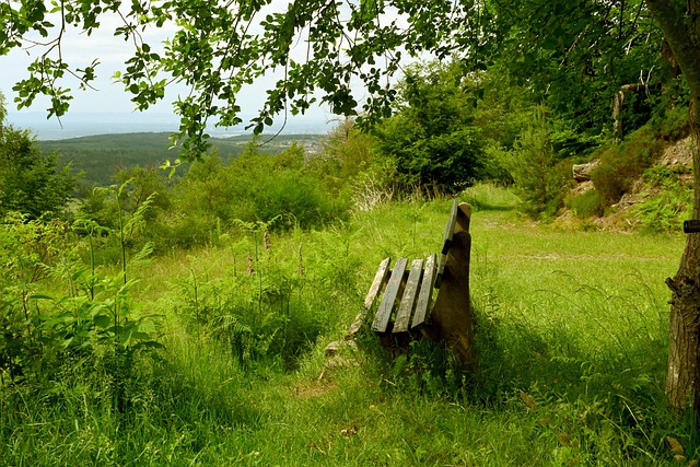 球员进入射 球员进入射