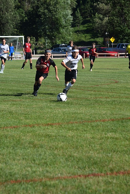 球员的职业 球员的职业