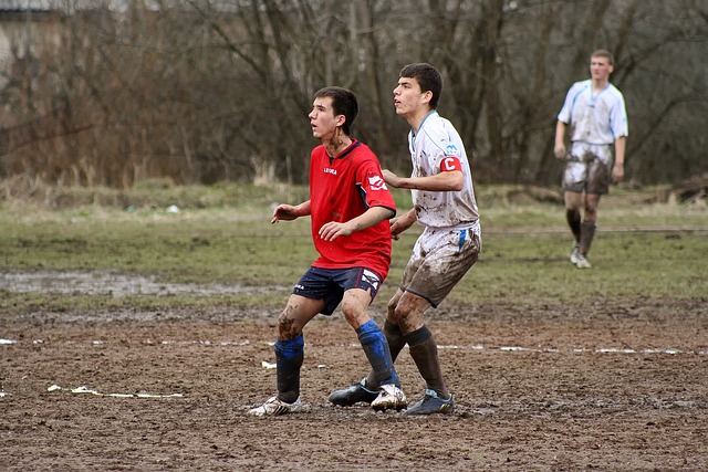 能的同时增 能的同时增