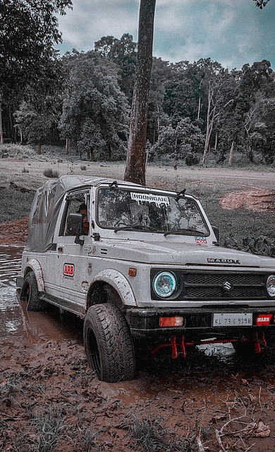 她的状态和 她的状态和